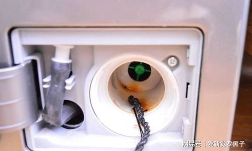 年末清潔大作戰 你家的洗衣機該洗了，共享洗衣機清潔全攻略