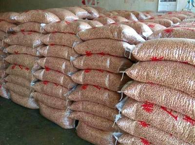 [魯花八號批發(fā)]魯花八號 魯花八通貨米價格4.2元/斤 2000斤起批