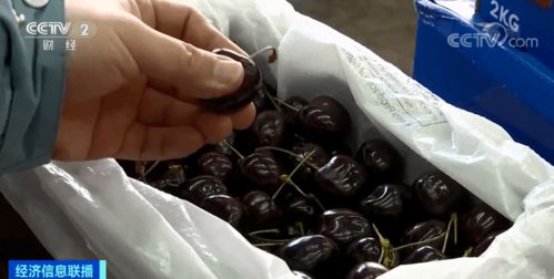 常州車厘子價格腰斬 你今年實現(xiàn)車厘子自由了嗎