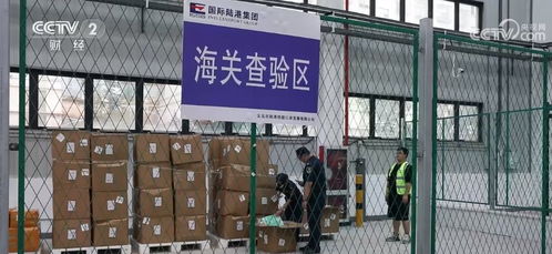 自貿試驗區制度不斷創新 浙江義烏監管新模式讓小商品出口更快捷